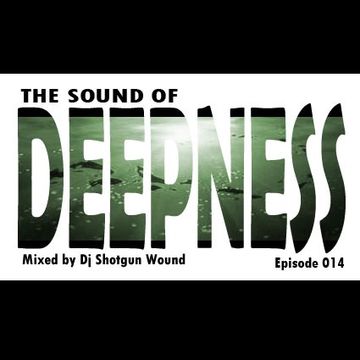 SGW The Sound Of Deepness Epiosde 014