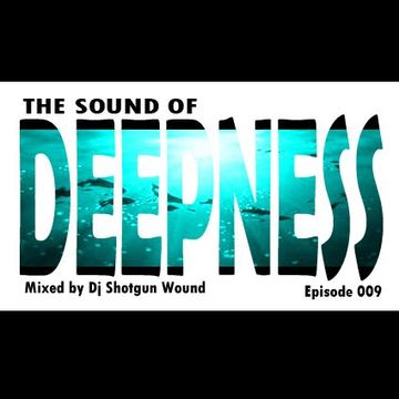 SGW The Sound Of Deepness Episode 009