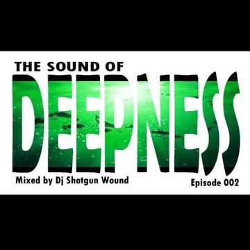 SGW the sound of deepness episode 002