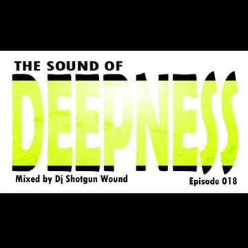 SGW The Sound Of Deepness Episode 018