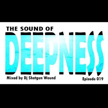 SGW The Sound Of Deepness episode 019
