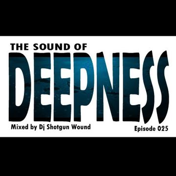 SGW The Sound Of Deepness Episode 25