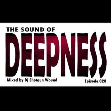 01 SGW The Sound Of Deepness Episode 28