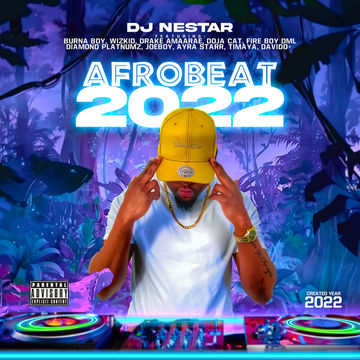 AFROBEAT 2022 Mix 🔥 (Fireboy DML, Wizkid, Amaarae, Doja Cat, Drake, Joeboy + More) - DJ Nestar