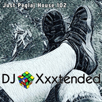 Just Peglaj House 102