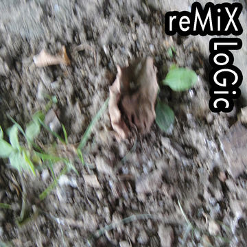 reMiX LoGic 06 - PWL