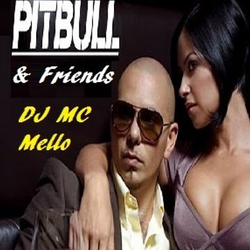 Pitbull & Friends (In Da Mix) 