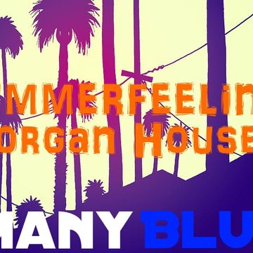 Summer Feelings (Organ House Mix)