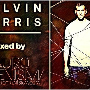 CALVIN HARRIS mixed by DJ Mauro Trevisan