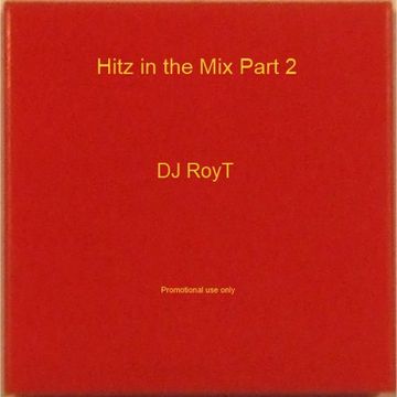 DJ RoyT   Hitz in the Mix Part 2