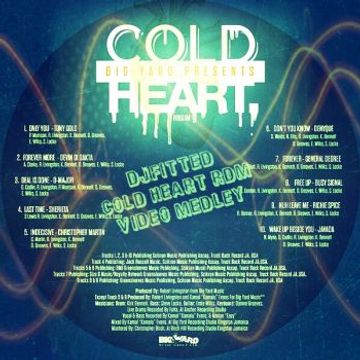 VIDEO MIX COLD HEART RIDDIM 