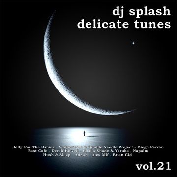 Dj Splash (Lynx Sharp)   Delicate tunes vol.21 2016 www.djsplash.hu