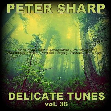 Dj Splash (Peter Sharp)   Delicate tunes vol.36 2018 www.djsplash.hu