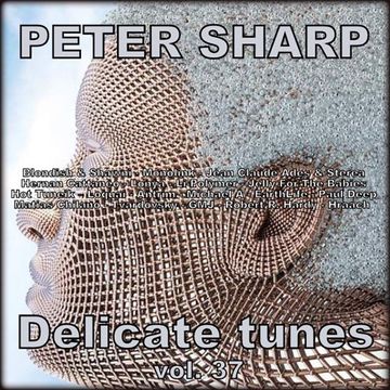 Dj Splash (Peter Sharp)   Delicate tunes vol.37 2019 www.djsplash.hu