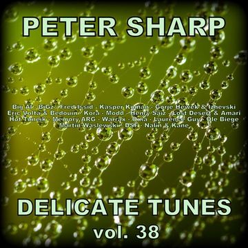 Dj Splash (Peter Sharp)   Delicate tunes vol.38 2019 www.djsplash.hu