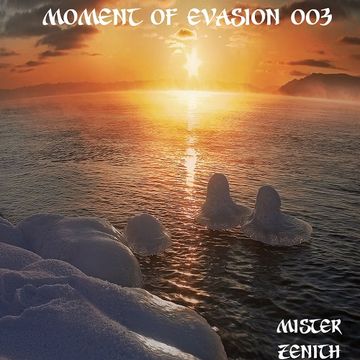 Moment of Evasion 003