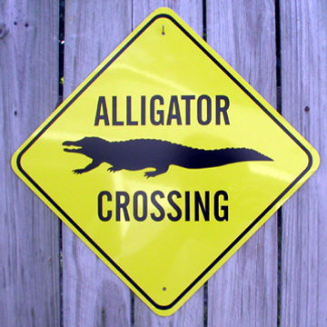 Pete van Payne   Weekend Update   Aligator crossing