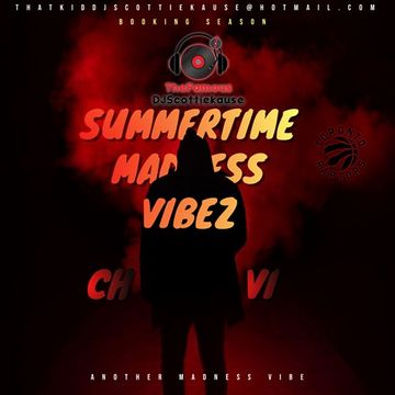 THE (SUMMERTIME MADNESS VIBEZ) CH.VI WITH DATSMYDJPRESENTS SK