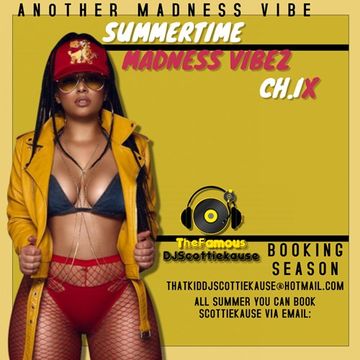 THE (SUMMERTIME MADNESS VIBEZ) CH.IX WITH DATSMYDJPRESENTS SK