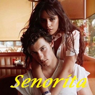 Shawn Mendes feat Camila Cabello - Senorita remix
