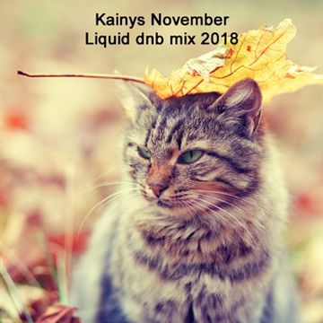 Kainys November mix 2018