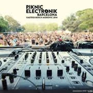 piknic electronik barcelona.21