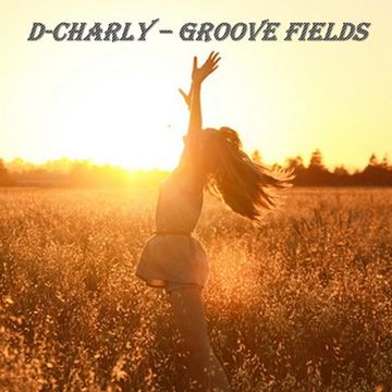 Groove Fields