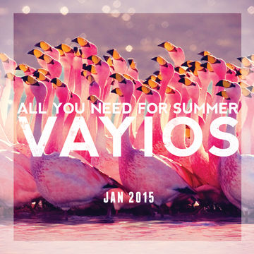 ALL YOU NEED FOR SUMMER - January 2015 - Mixed by VAYIOS