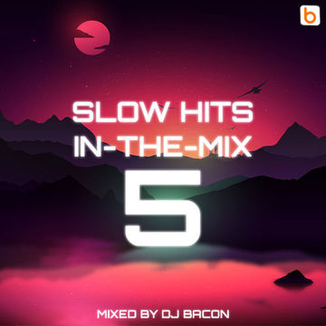 Slow Hits in the mix vol.5