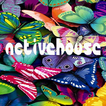 activehouse mini set 02-03-16