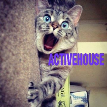 activehouse mini set 30-05-16