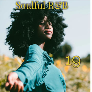 Soulful R&B Vol. 19 ( Classics )