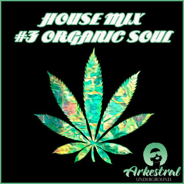 Bruva Soul's House Mix 3