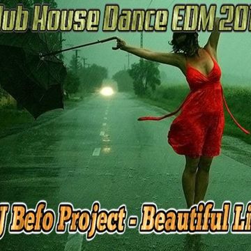 DJ Befo Project   Beautiful Life