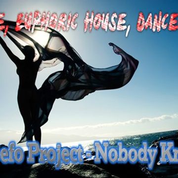 DJ Befo Project   Nobody Knows