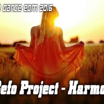 DJ Befo Project   Harmonica