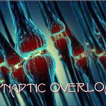 D.J. CEREBRO SYNAPTIC OVERLOAD 12  [Hohe Qualität]