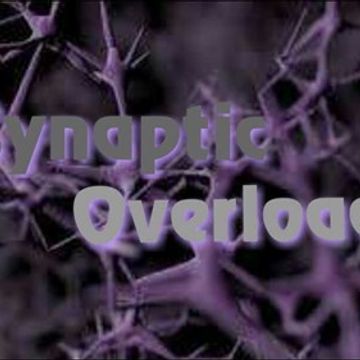 D.J. CEREBRO SYNAPTIC OVERLOAD 17  [Hohe Qualität]