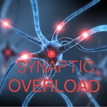 D.J. CEREBRO SYNAPTIC OVERLOAD 14 [Hohe Qualität]