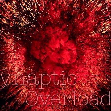 D. J. CEREBRO Synaptic Overload     2.0