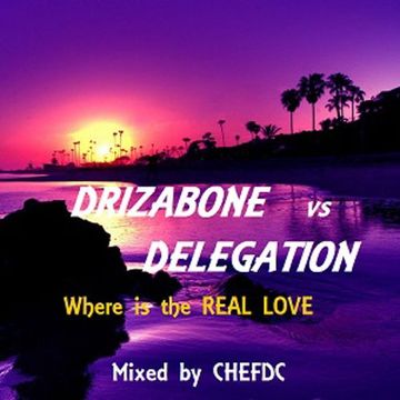 DRIZABONE  vs.  DELEGATION  MASH