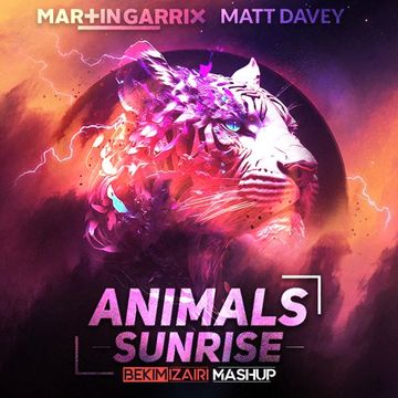 Martin Garrix vs Matt Davey feat. Kate Dowman - Animals Sunrise (Bekim Izairi Mashup)