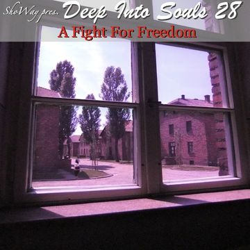 ShoWay pres. Deep Into Souls 028 - A Fight For Freedom