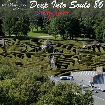 SchoWay pres. Deep Into Souls 086 - Stray Heart