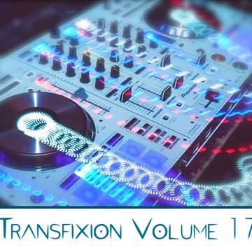 Transfixion Volume 17