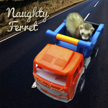 Naughty Ferret (by Aitor Águeda)