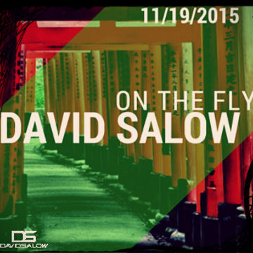On The Fly - mixed by David Salow 11-19-2015