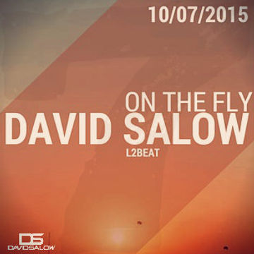 On The Fly - mixed by David Salow 11-07-2015