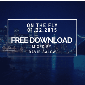 On The Fly - mixed by David Salow 01 22 2015