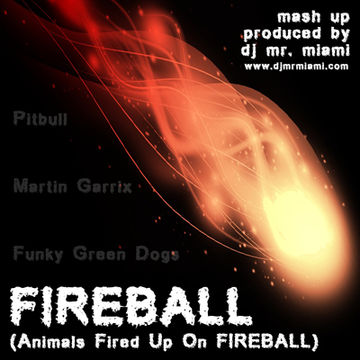 Pitbull Ft Funky Green Dogs & Martin Garrix   Fireball (Animals Fired Up On FireBall) FINAL FINAL (DJ MR MIAMI  www djmrmiami com for bookings and remixes Mashup)